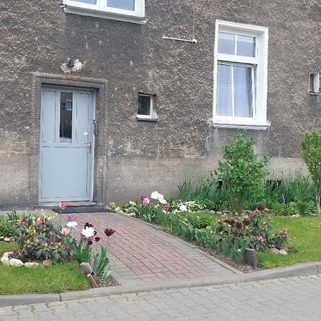 Apartament W Centrum ニサ エクステリア 写真