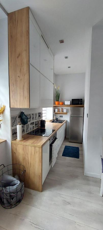 Apartament W Centrum ニサ エクステリア 写真